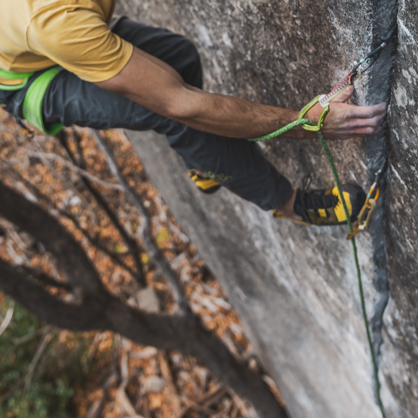 "Flip-Stop" Cam Carabiner Stabilizers